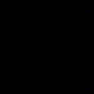 Meet your Posher, Bri